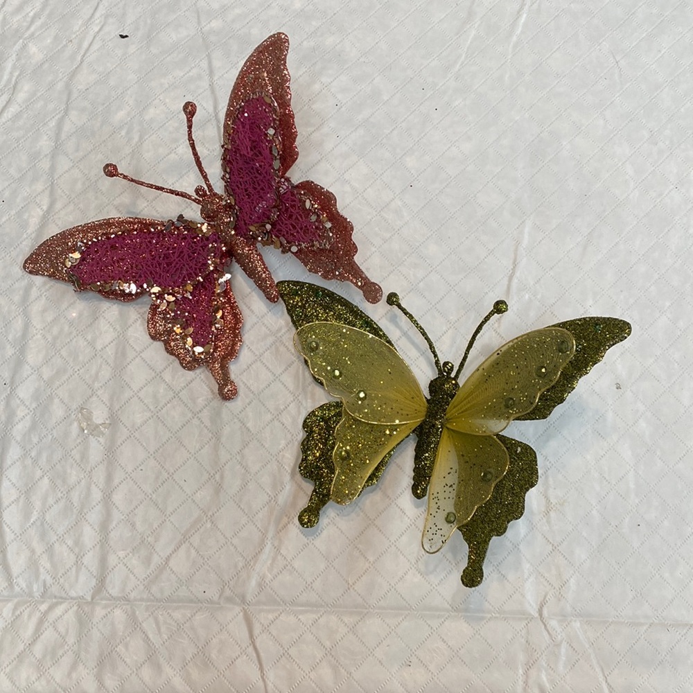 Butterfly Clips